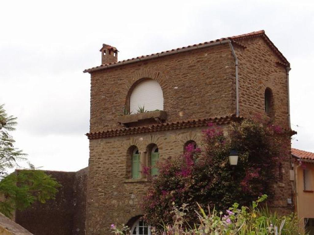 183 D24 BORMES LES MIMOSAS 2_000007.jpg